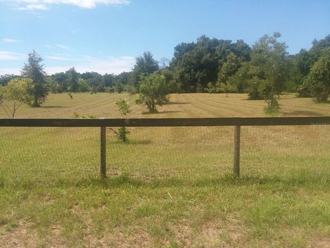 Tiny photo for 1890 NW 167th Place, Trenton, FL 32693 (MLS # GC530196)