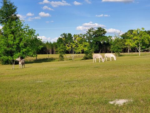 Tiny photo for 1890 NW 167th Place, Trenton, FL 32693 (MLS # GC530196)