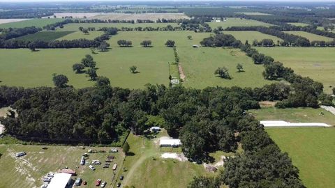 Tiny photo for 1890 NW 167th Place, Trenton, FL 32693 (MLS # GC530196)