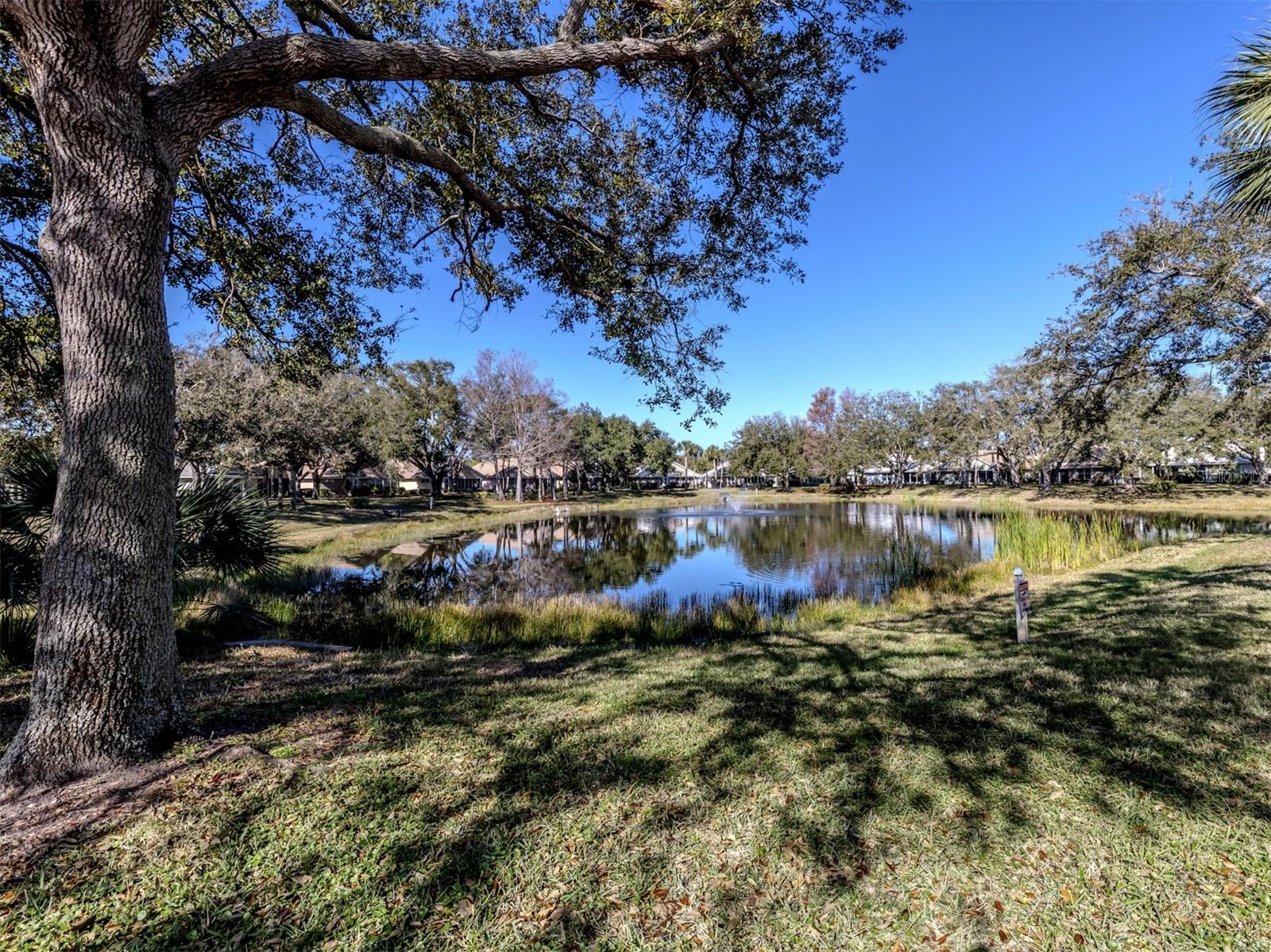 CLUBSIDE VILLAS - Residential