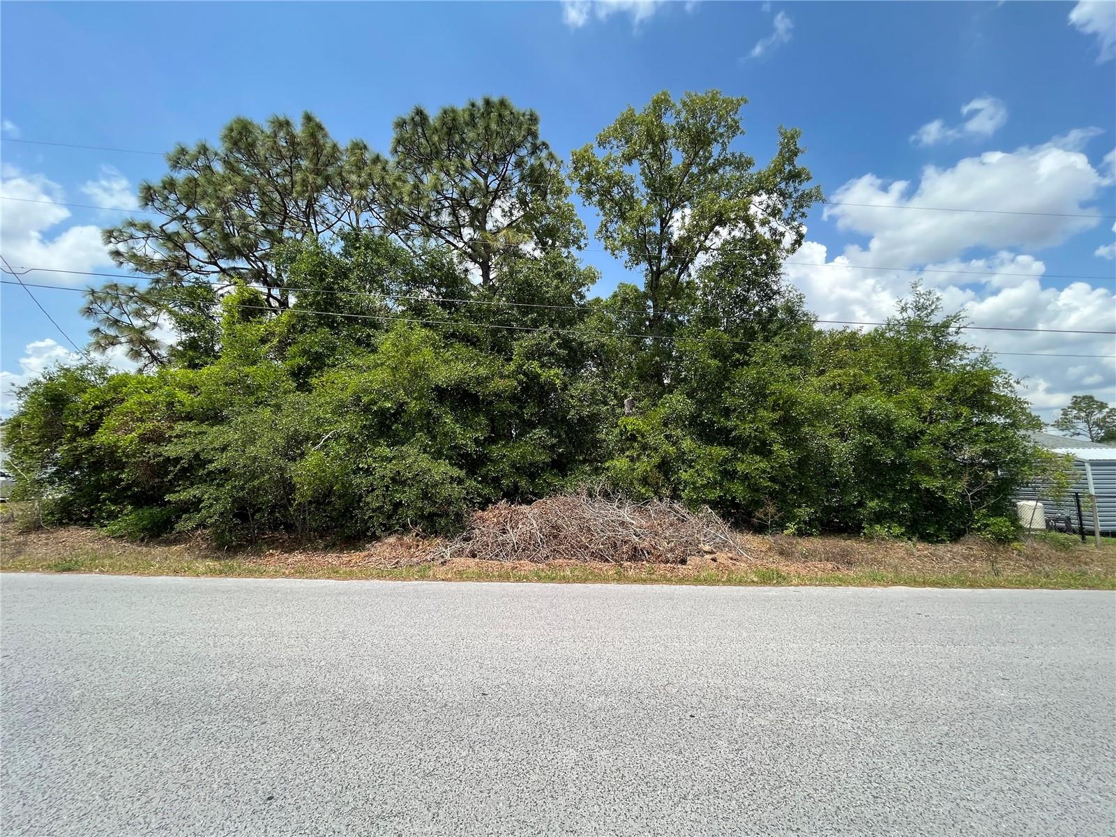 Great opportunity to own a 0.29-acre rectangular building lot (100' x 125') in the desirable Orange Blossom Hills subdivision in Summerfield, FL. This property is located on a paved, county-maintained road with no HOA and no flood zone, making it a perfect spot to build your site-built dream home. Zoned R-1, this lot requires well and septic and offers plenty of space in a peaceful residential setting. Conveniently located just minutes from The Villages, shopping, dining, and medical facilities, this lot combines quiet living with easy access to everything you need.