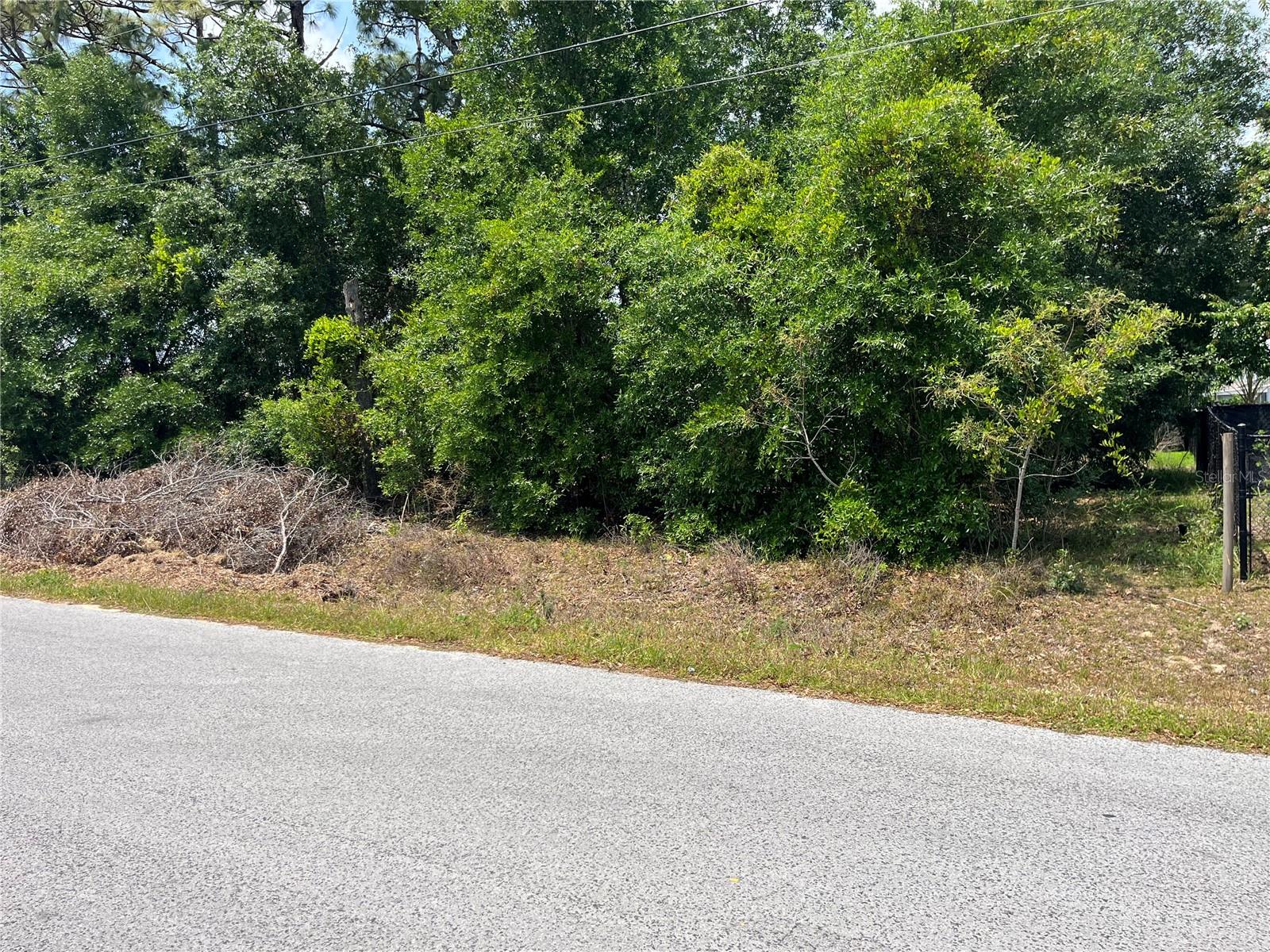 ORANGE BLOSSOM HILLS - Land