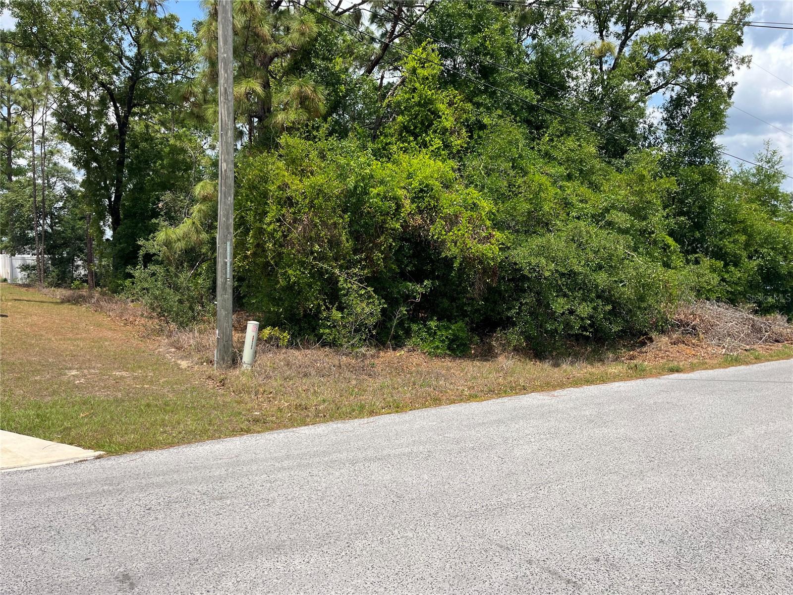 ORANGE BLOSSOM HILLS - Land