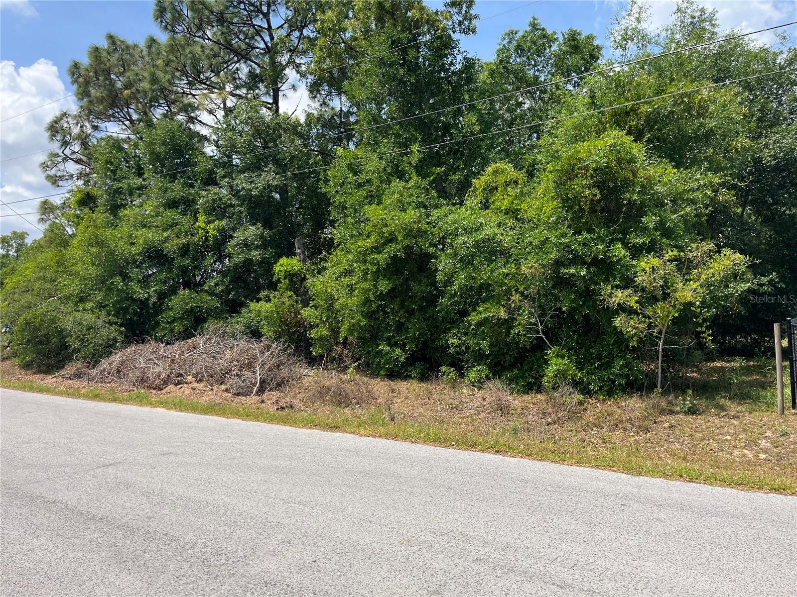 ORANGE BLOSSOM HILLS - Land