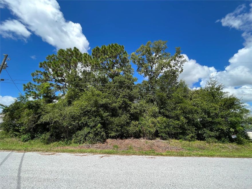 Great opportunity to own a 0.29-acre rectangular building lot (100' x 125') in the desirable Orange Blossom Hills subdivision in Summerfield, FL. This property is located on a paved, county-maintained road with no HOA and no flood zone, making it a perfect spot to build your site-built dream home. Zoned R-1, this lot requires well and septic and offers plenty of space in a peaceful residential setting. Conveniently located just minutes from The Villages, shopping, dining, and medical facilities, this lot combines quiet living with easy access to everything you need.