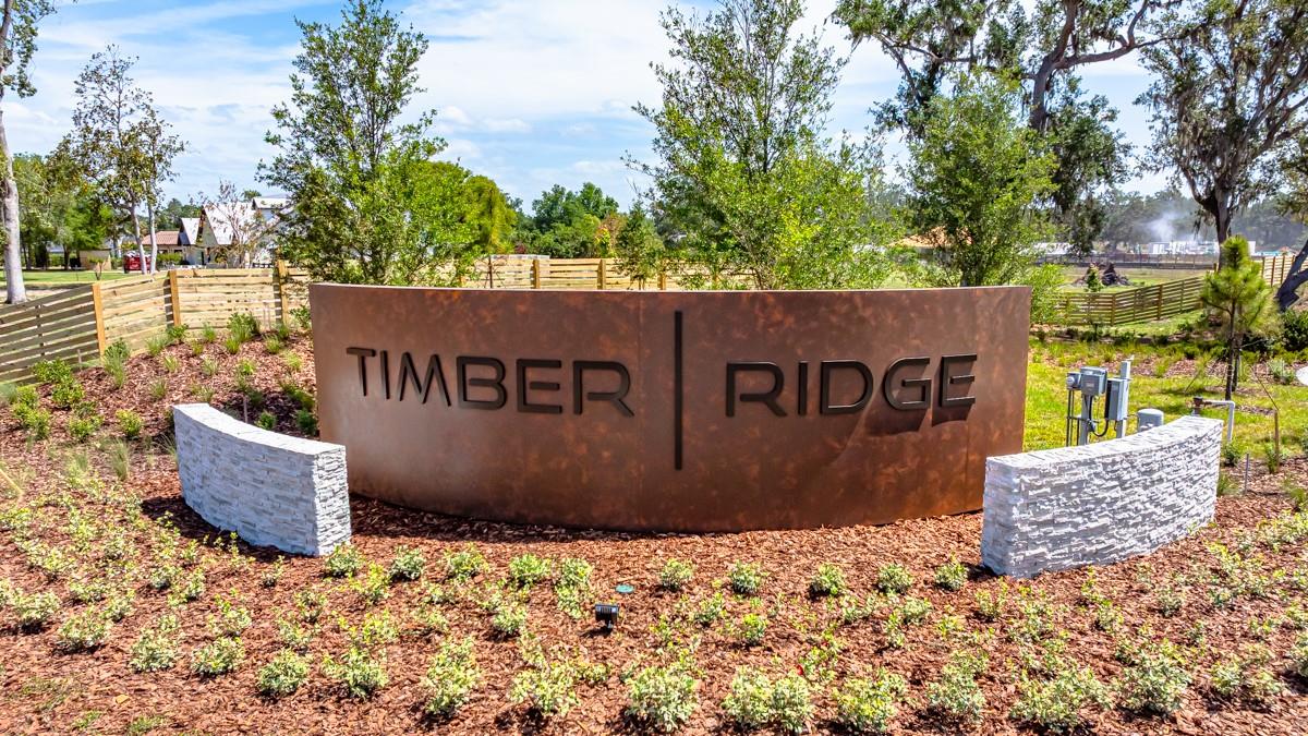 TIMBER RIDGE - Residential