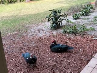 BLOSSOM PARK VILLAS CONDO - Residential