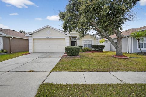 Photo of 12630 Early Run Lane, Riverview, FL 33578 (MLS # TB8437775)