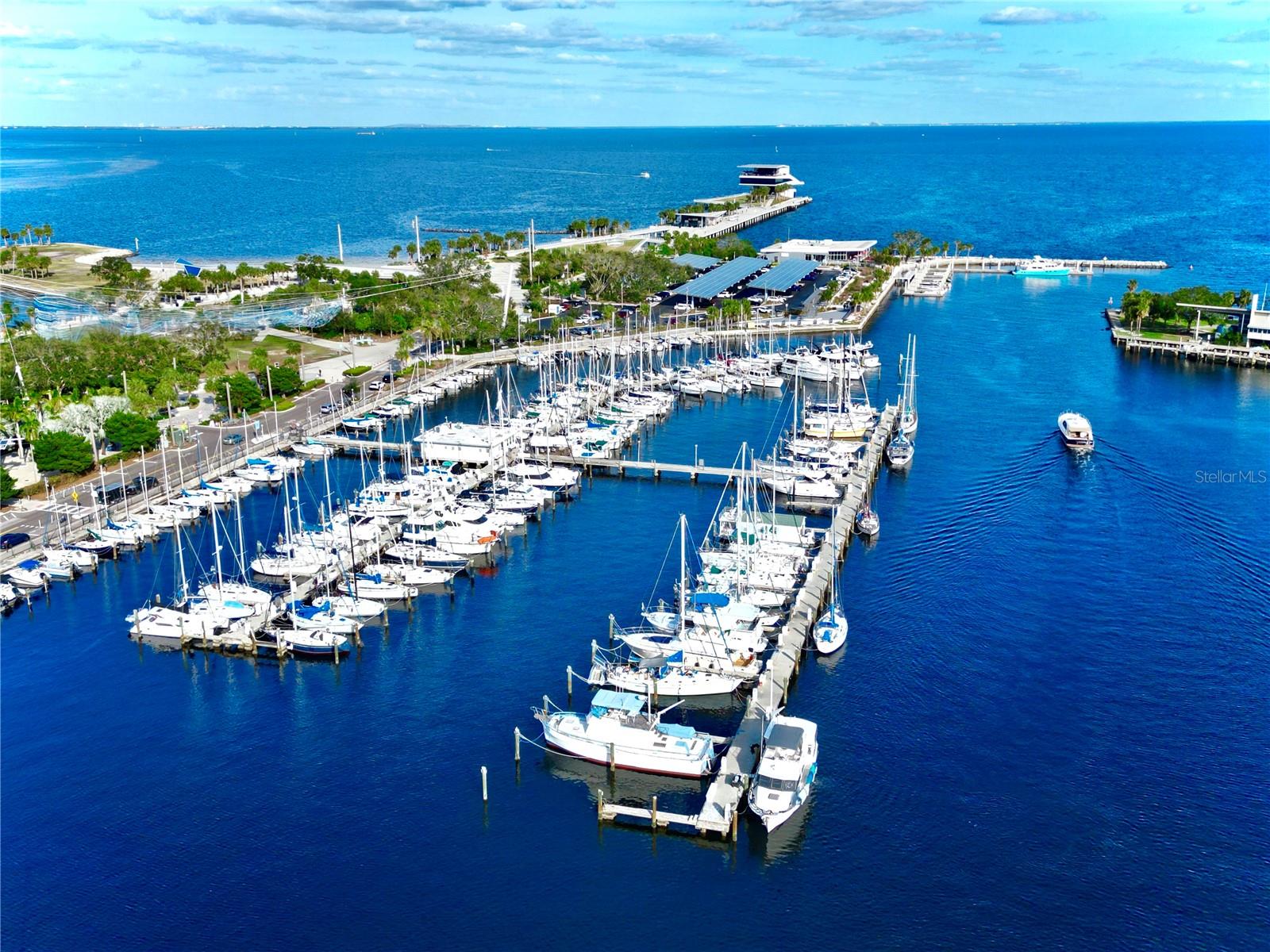 FLORI DE LEON APTS CO-OP - Residential Lease