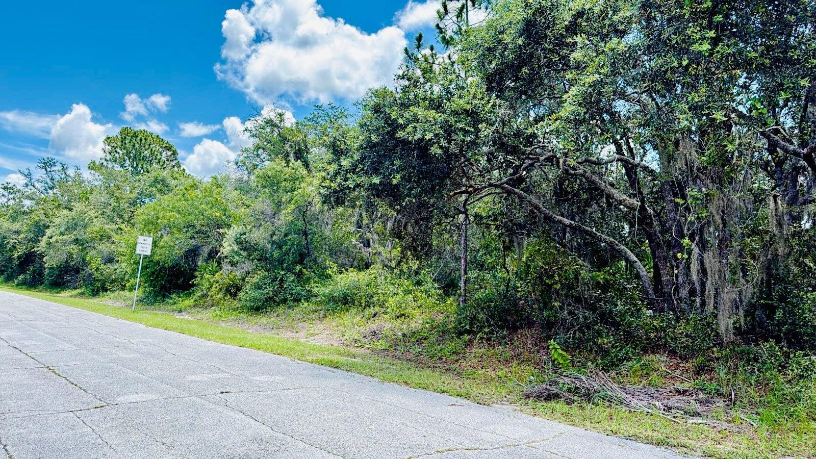 Discover a rare opportunity to own 0.20 acres of vacant land in the renowned Poinciana Villages of Kissimmee,
FL—an ideal canvas for your dream single-family home!Generous 0.20 -acre parcel (8,742 sqft), perfectly sized for
a spacious single-family residence with room for a yard, pool, or patio.
Located within the master-planned Poinciana Villages (part of the 47,000-acre Poinciana community)—valued for its
family-friendly atmosphere, recreation options, and vibrant residential vibe
Situated in a single-family-zoned enclave, prime for new construction with public water and sewer readily
available.