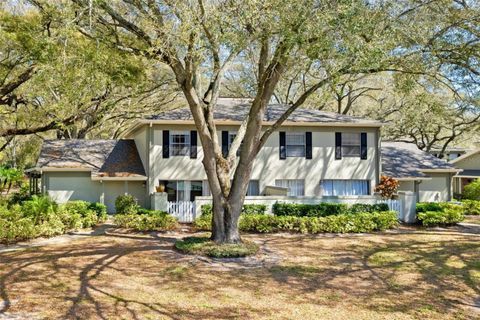 A home in TEMPLE TERRACE