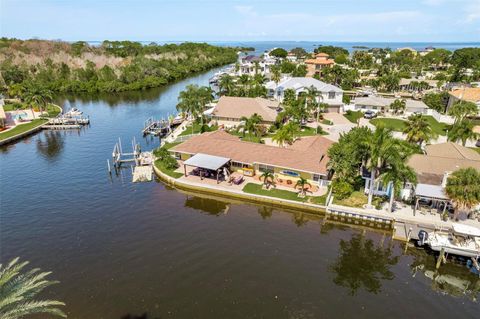 A home in PALM HARBOR