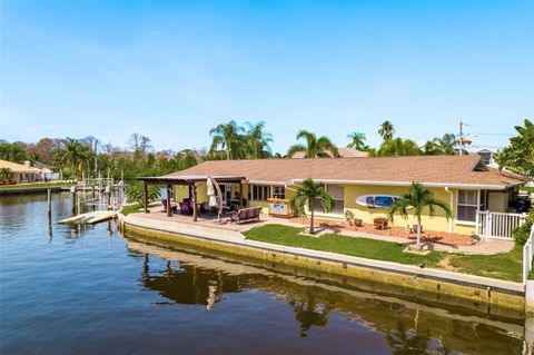 A home in PALM HARBOR