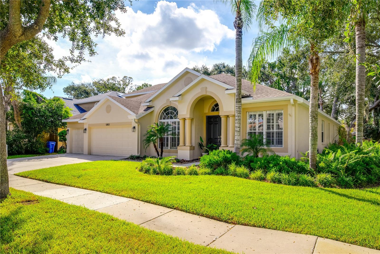 CARROLLWOOD PRESERVE - Residential