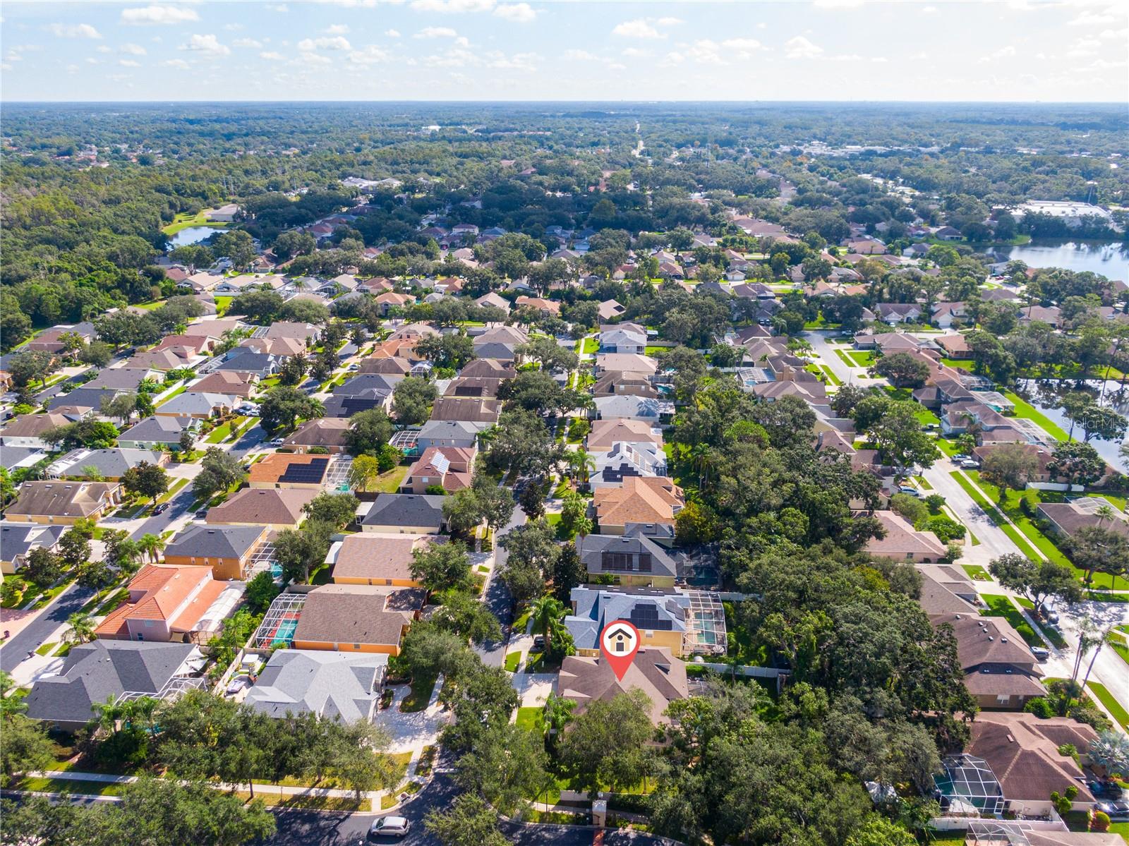 CARROLLWOOD PRESERVE - Residential