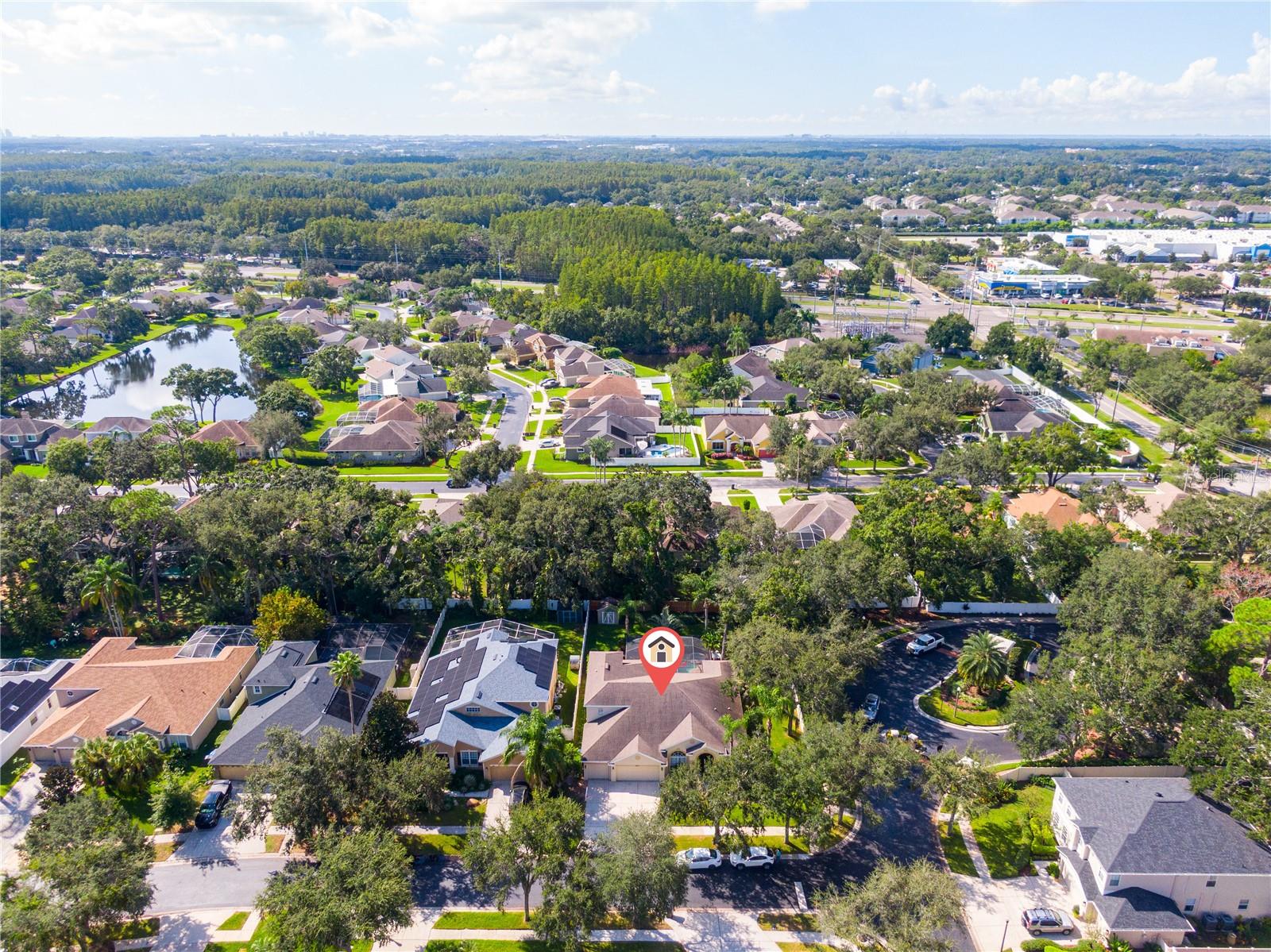 CARROLLWOOD PRESERVE - Residential