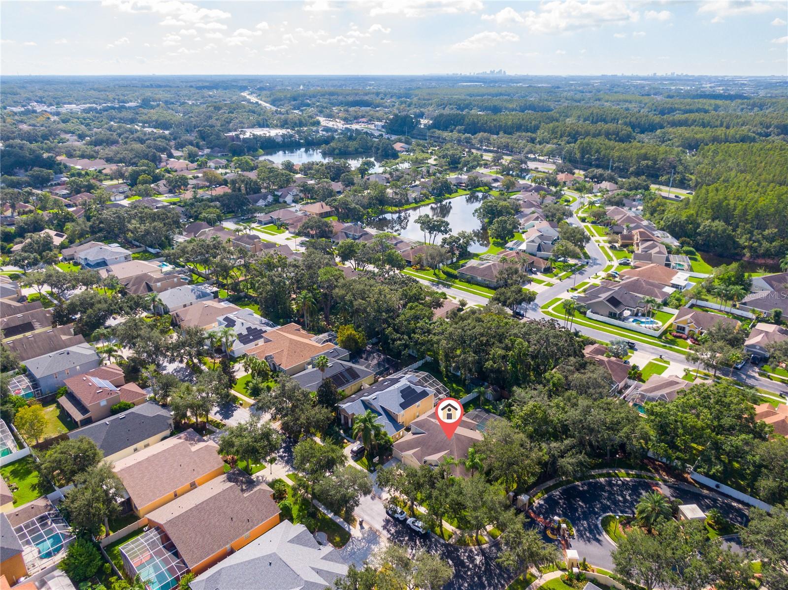 CARROLLWOOD PRESERVE - Residential