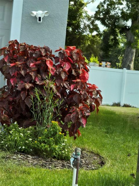 A home in BRADENTON