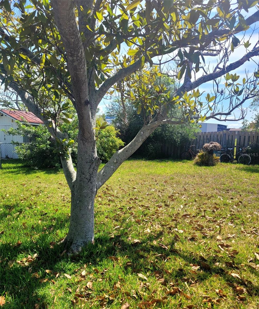 HERNANDO BEACH - Residential