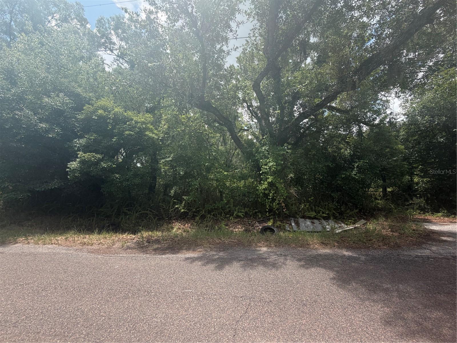4447 EDWARDS RD