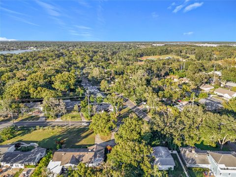 A home in MOUNT DORA