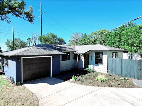 A home in MOUNT DORA