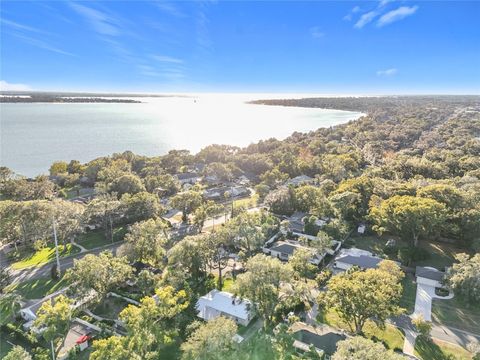 A home in MOUNT DORA