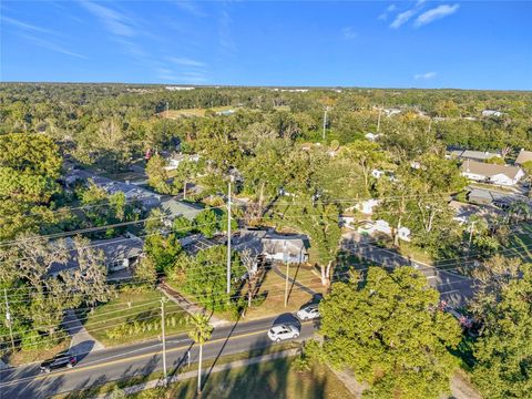 A home in MOUNT DORA