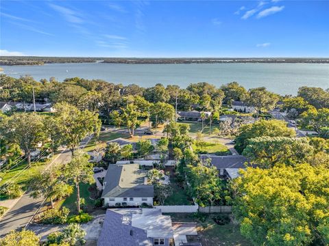 A home in MOUNT DORA