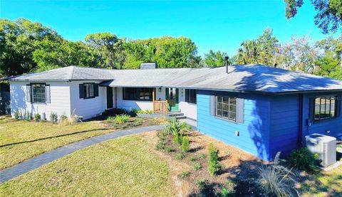 A home in MOUNT DORA