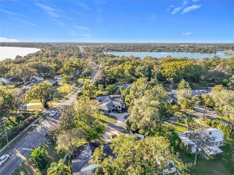 A home in MOUNT DORA