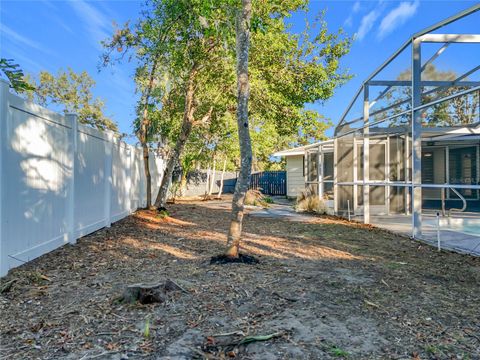 A home in MOUNT DORA