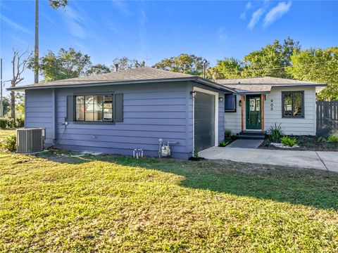 A home in MOUNT DORA