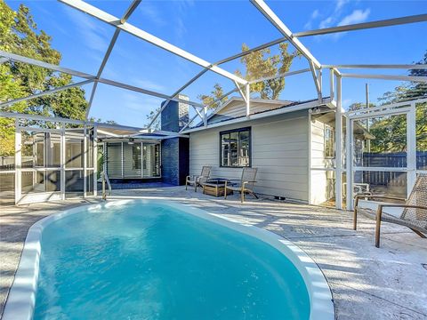 A home in MOUNT DORA