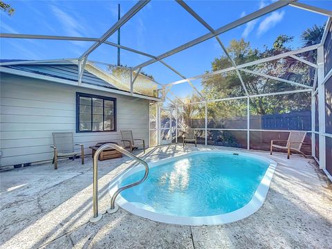 A home in MOUNT DORA