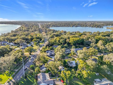 A home in MOUNT DORA