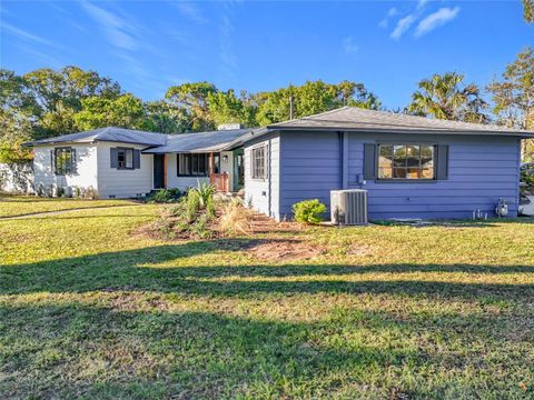 A home in MOUNT DORA