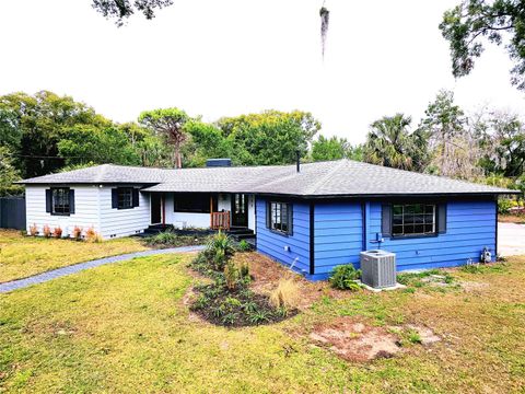 A home in MOUNT DORA