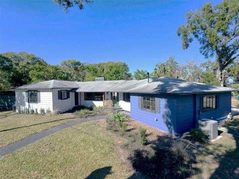 A home in MOUNT DORA