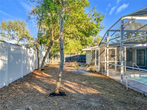 A home in MOUNT DORA