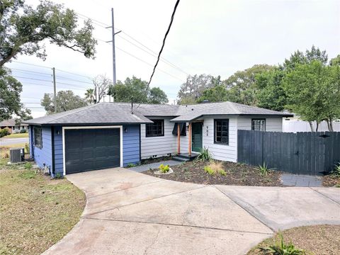 A home in MOUNT DORA