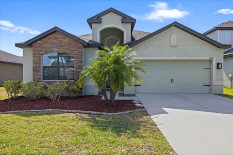 11831 THICKET WOOD DRIVE RIVERVIEW FL 33579