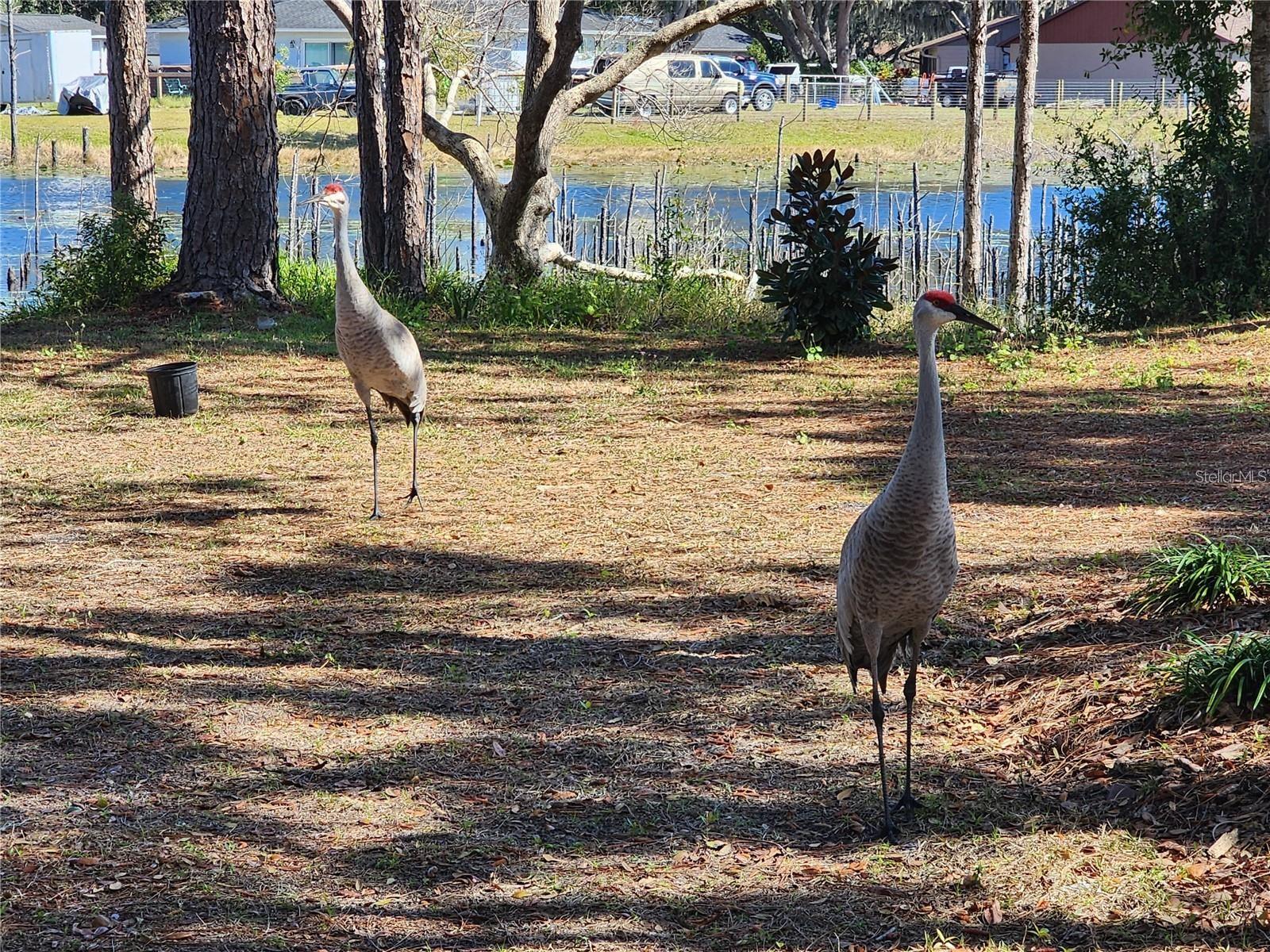 DELTONA LAKES UNIT 64 - Residential