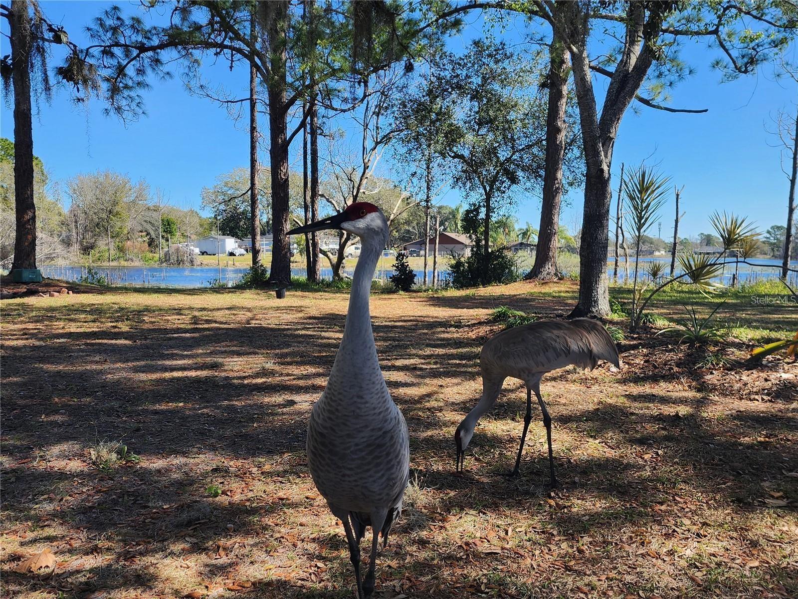 DELTONA LAKES UNIT 64 - Residential