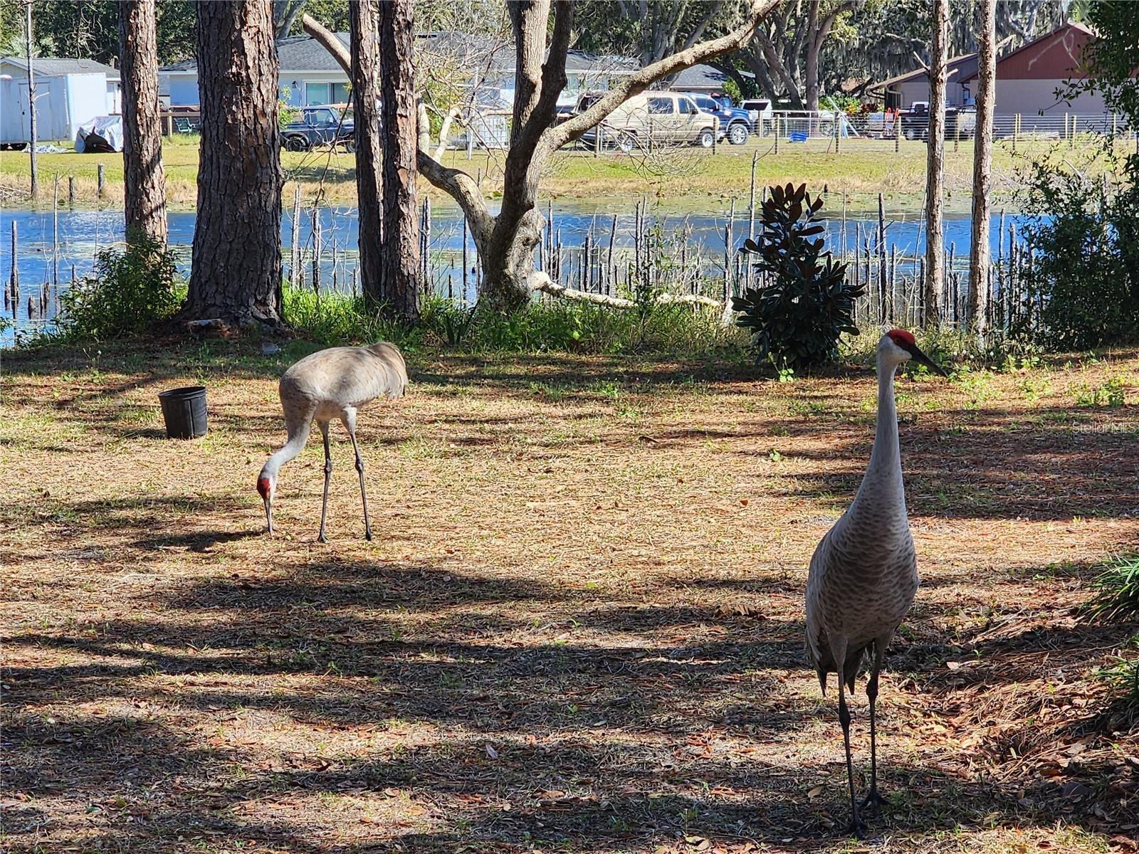 DELTONA LAKES UNIT 64 - Residential