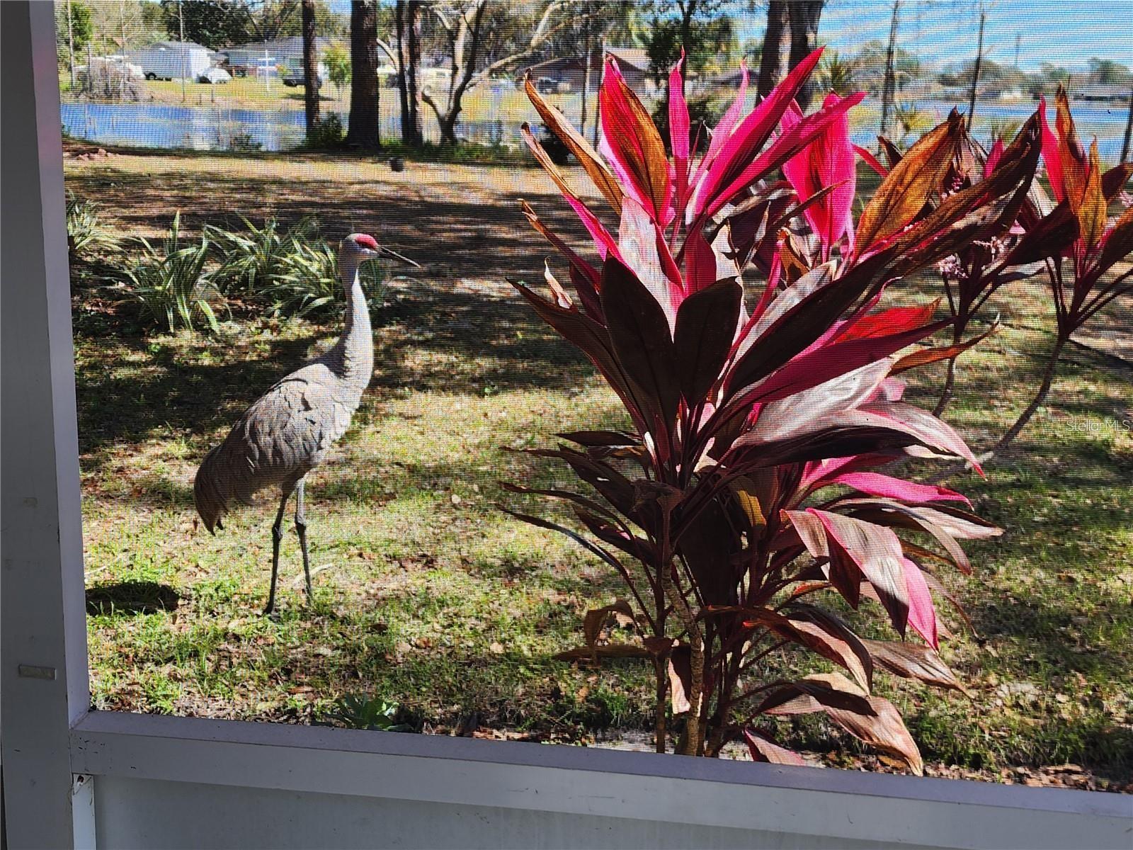 DELTONA LAKES UNIT 64 - Residential