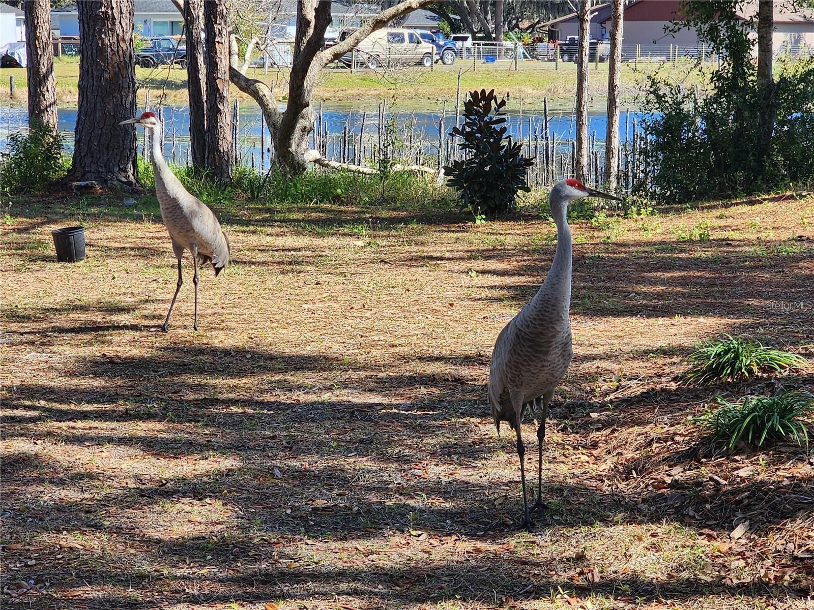 DELTONA LAKES UNIT 64 - Residential