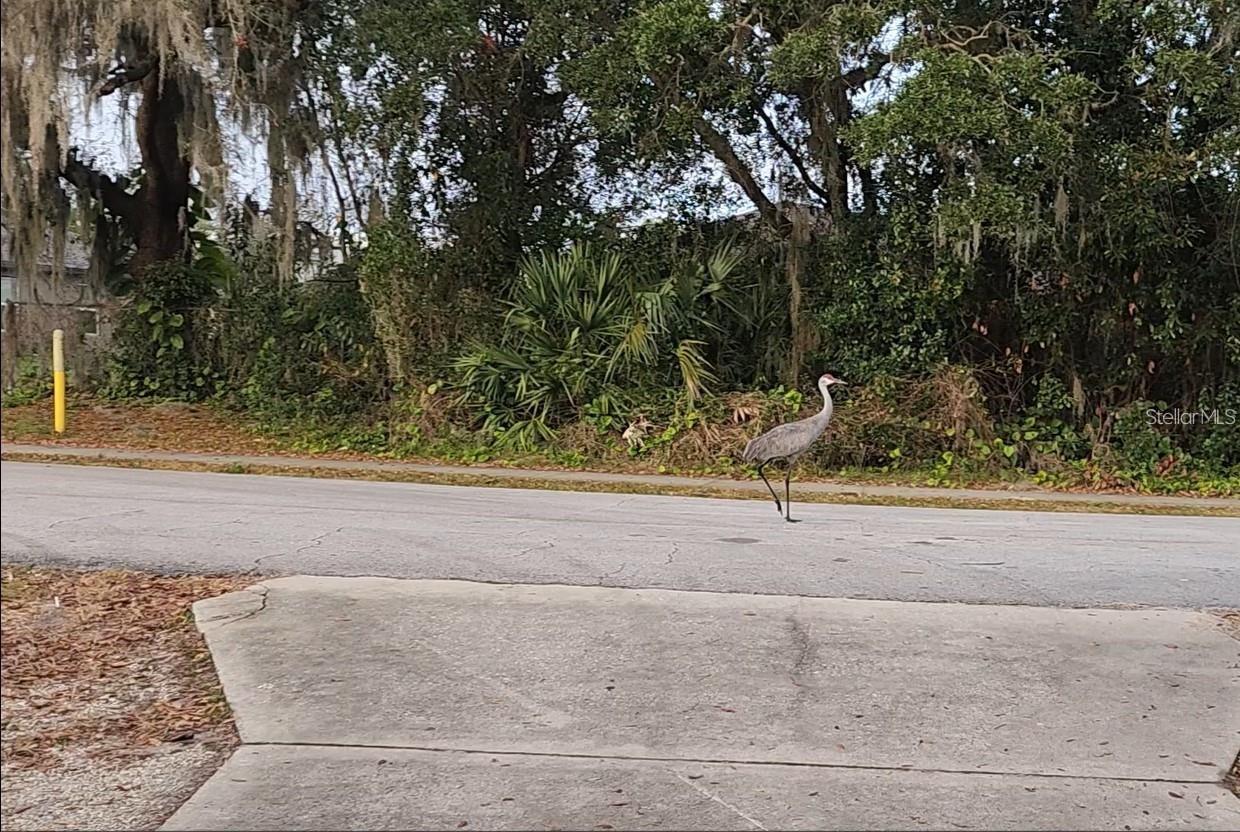 DELTONA LAKES UNIT 64 - Residential