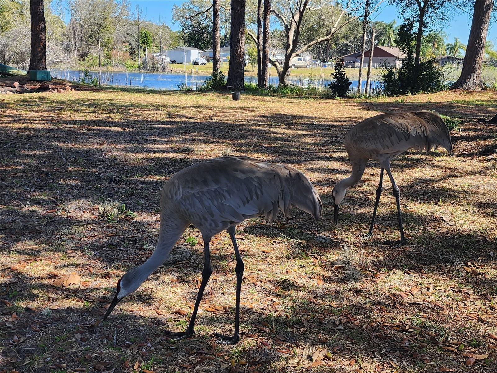 DELTONA LAKES UNIT 64 - Residential