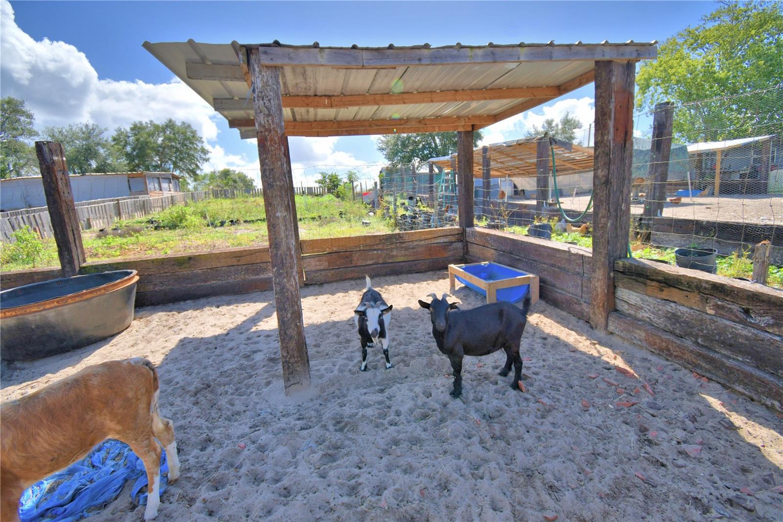 TIGER CREEK GROVES - Residential